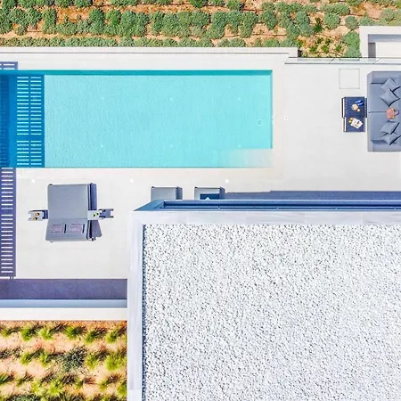 فيلة Above The Blue